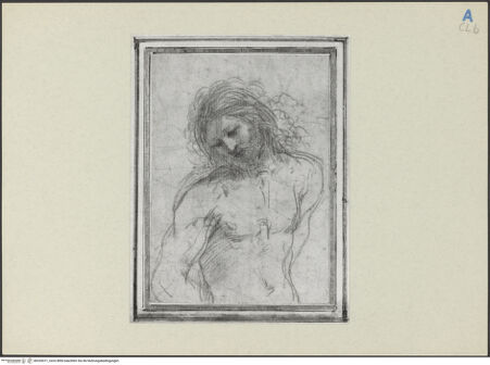 Vorderseite von bh253071_recto