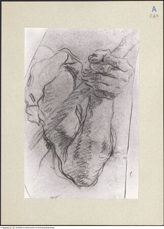 Vorderseite von bh253088_recto