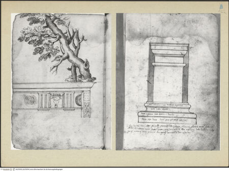 Vorderseite von bh253093_bh253094_recto