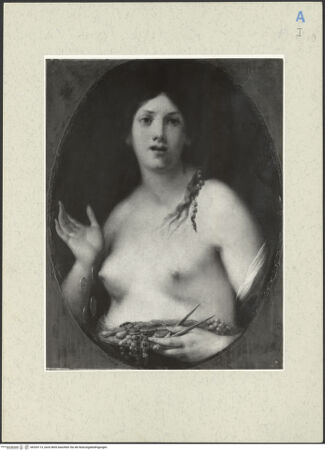 Vorderseite von bh253113_recto