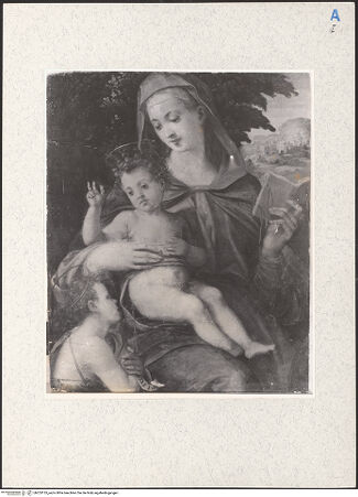 Vorderseite von bh253135_recto