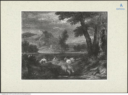 Vorderseite von bh253137_recto