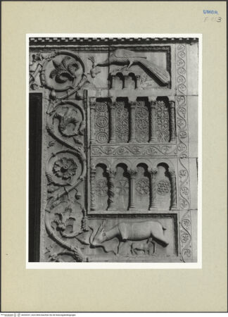 Vorderseite von bh253231_recto