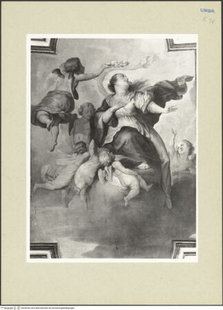 Vorderseite von bh253238_recto