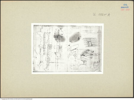 Vorderseite von bh253466_recto