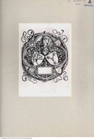 Vorderseite von  [http://creativecommons.org/publicdomain/mark/1.0/] ... - , bh253680. Foto.