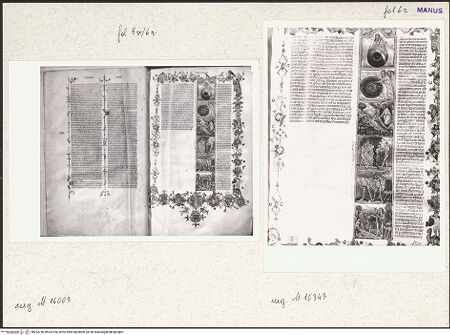 Vorderseite von bh253756_bh253760_recto