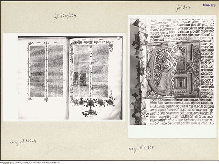 Vorderseite von bh253761_bh253762_recto