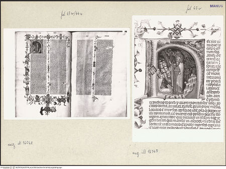 Vorderseite von bh253765_bh253766_recto