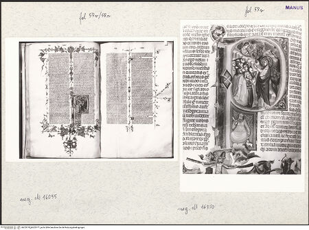 Vorderseite von bh253770_bh253771_recto