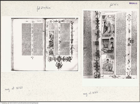 Vorderseite von bh253772_bh253773_recto