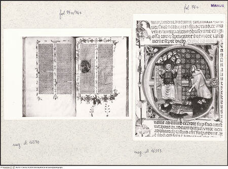 Vorderseite von bh253777_bh253778_recto