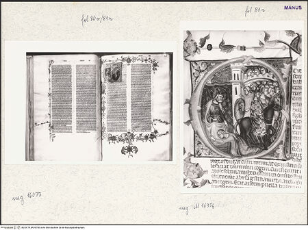 Vorderseite von bh253779_bh253780_recto