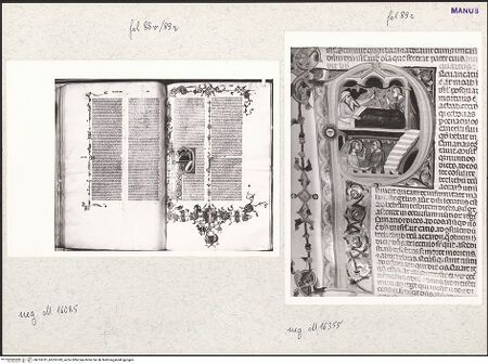 Vorderseite von bh253781_bh253782_recto