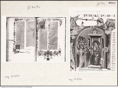 Vorderseite von bh253783_bh253784_recto