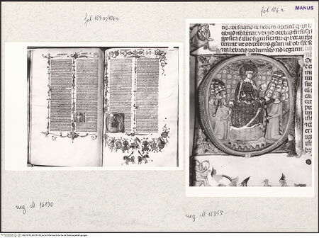 Vorderseite von bh253785_bh253786_recto