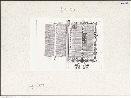 Vorderseite von bh253787_recto