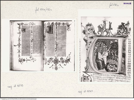 Vorderseite von bh253799_bh253800_recto