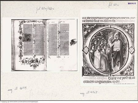 Vorderseite von bh253812_bh253813_recto