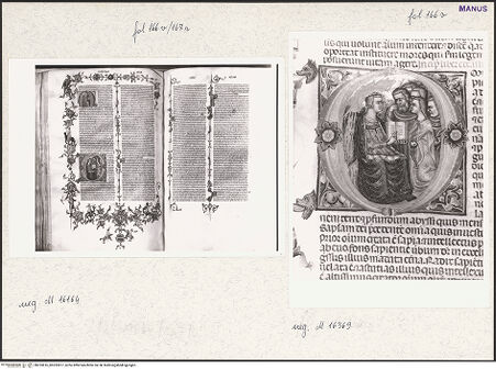 Vorderseite von bh253816_bh253817_recto