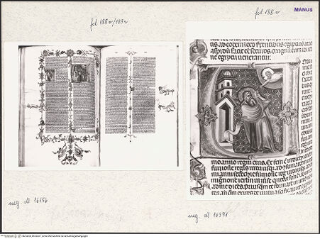 Vorderseite von bh253820_bh253821_recto
