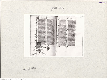 Vorderseite von bh253822_recto