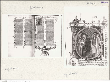 Vorderseite von bh253823_bh253824_recto