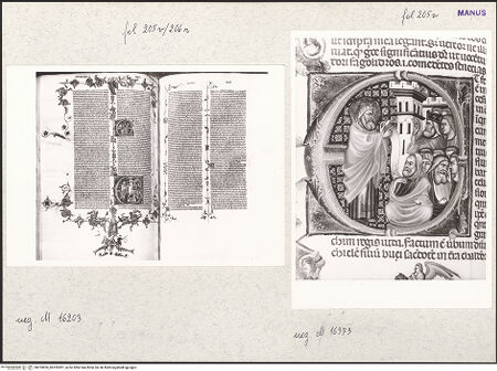 Vorderseite von bh253826_bh253827_recto