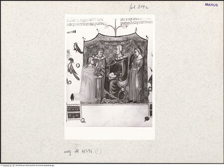 Vorderseite von bh253830_recto