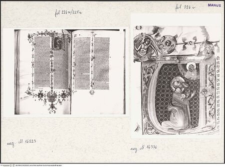 Vorderseite von bh253832_bh253833_recto