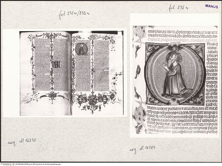 Vorderseite von bh253845_bh253846_recto