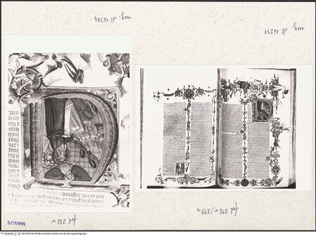 Vorderseite von bh253847_bh253848_recto