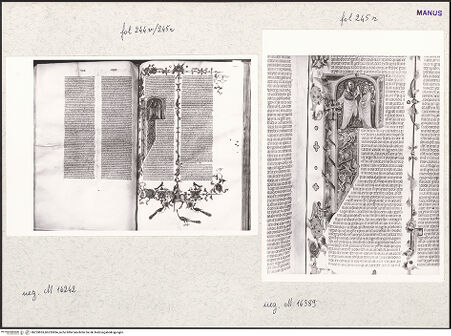 Vorderseite von bh253853_bh253854_recto