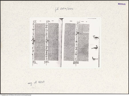 Vorderseite von bh253858_recto