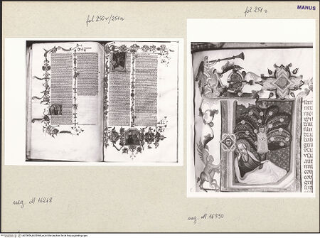 Vorderseite von bh253859_bh253860_recto