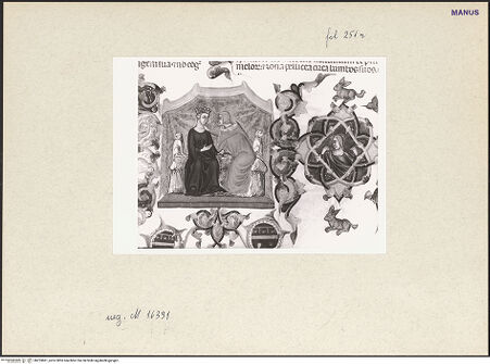 Vorderseite von bh253861_recto