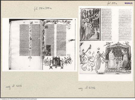 Vorderseite von bh253862_bh253863_recto