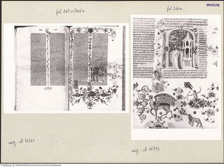 Vorderseite von bh253865_bh253866_recto