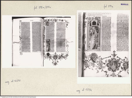 Vorderseite von bh253867_bh253868_recto