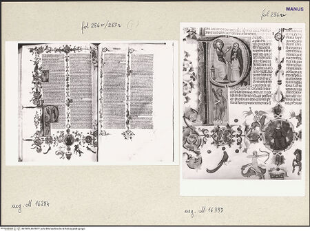 Vorderseite von bh253876_bh253877_recto