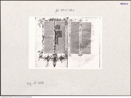 Vorderseite von bh253881_recto