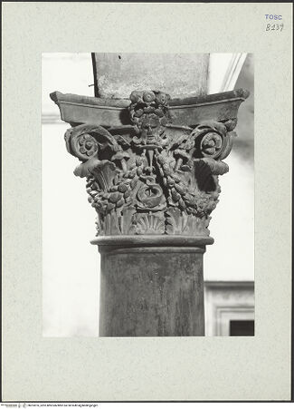 Vorderseite von bh253976_recto