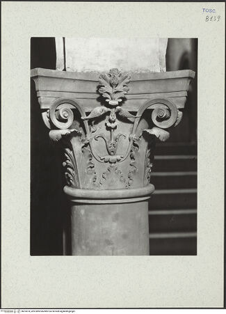 Vorderseite von bh253978_recto