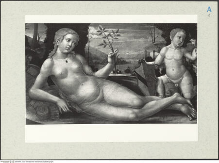 Vorderseite von bh253981_recto