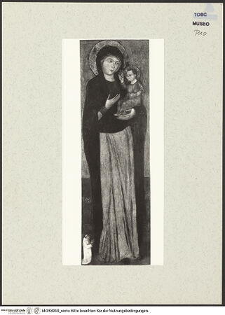 Vorderseite von bh253990_recto