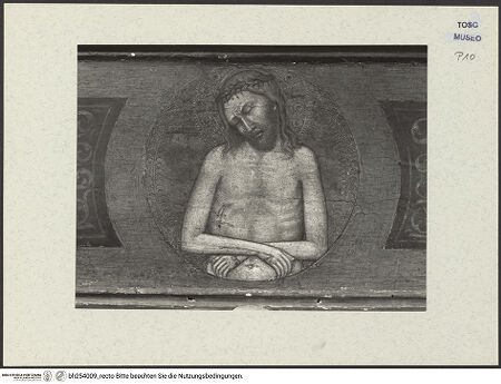 Vorderseite von bh254009_recto