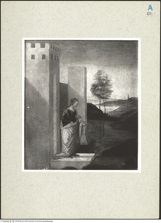 Vorderseite von bh254020_recto