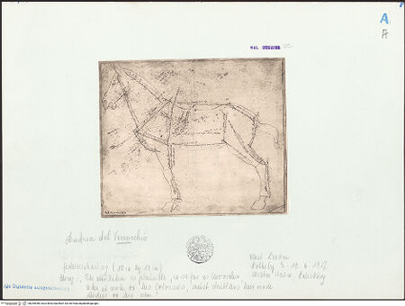 Vorderseite von bh254058_recto