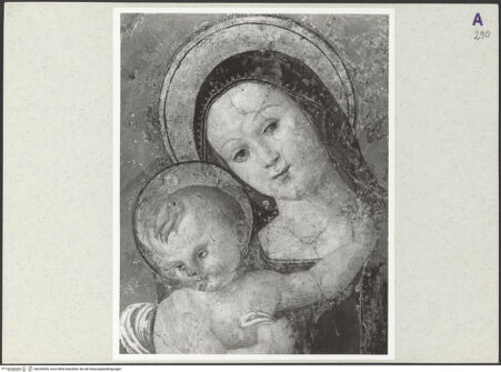 Vorderseite von bh254459_recto