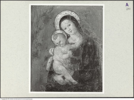 Vorderseite von bh254460_recto